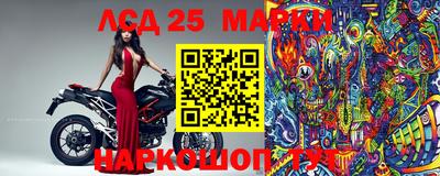 стафф Коммунар