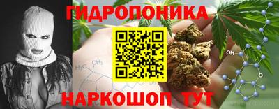 стафф Коммунар