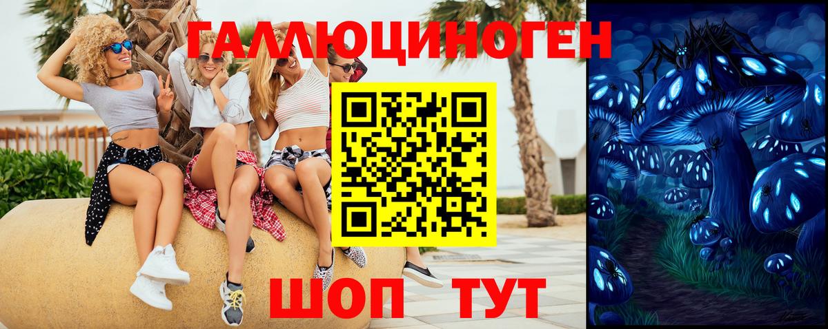 Павловский Посад  Галлюциногенные грибы GOLDEN TEACHER  Вход с VPN 